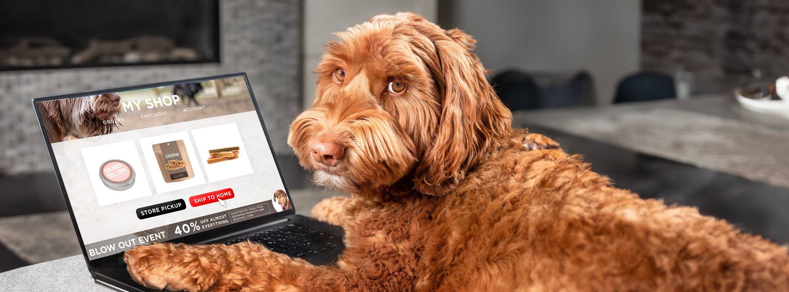 Home Page Banner Image